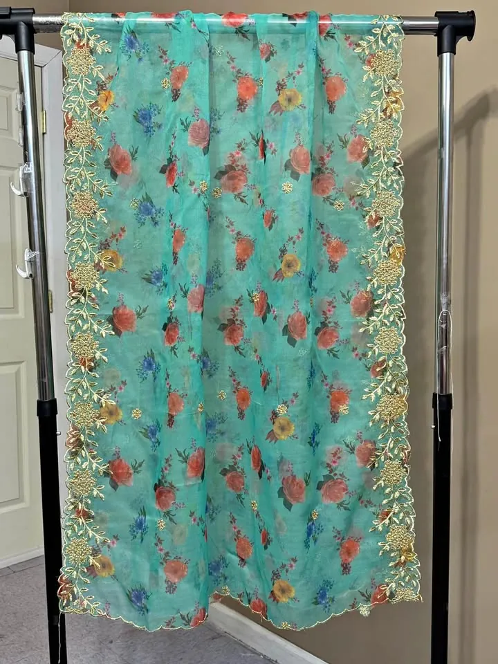 Soft Organza Embroidered Fancy Dupatta / Shawl, photo 1 of 4