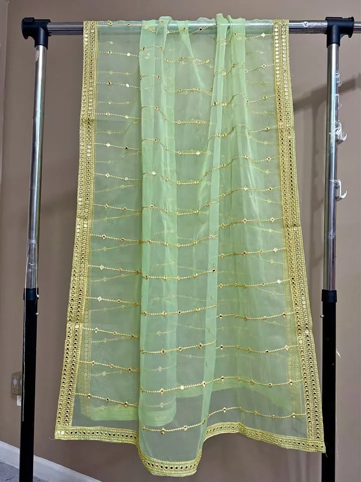 Green Organza Embroidered Fancy Dupatta / Shawl, photo 1 of 6